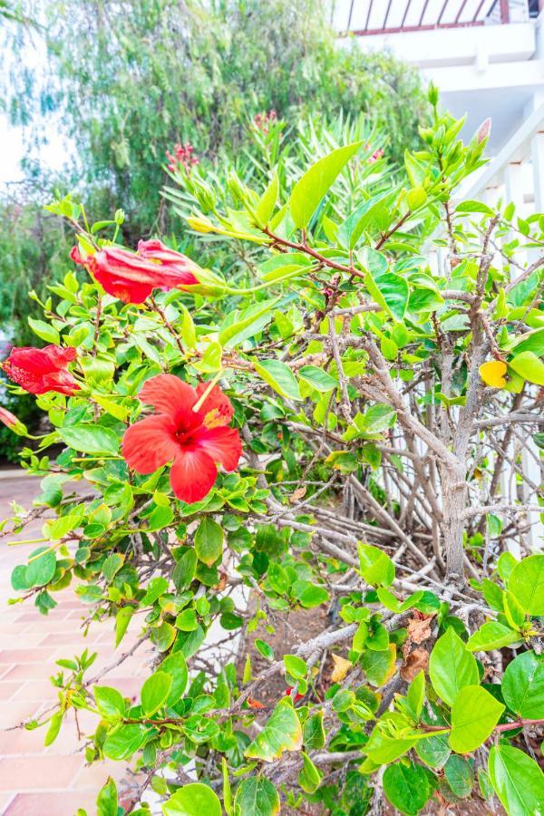 Vivienda Vacacional Sea Garden Costa Teguise Eksteriør billede
